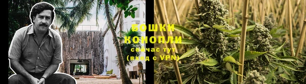 гашишное масло Аркадак