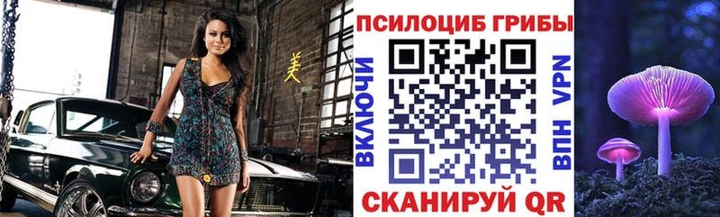 цены   Арсеньев  Галлюциногенные грибы Psilocybe 