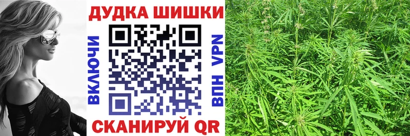 Бошки Шишки ГИДРОПОН  Арсеньев 